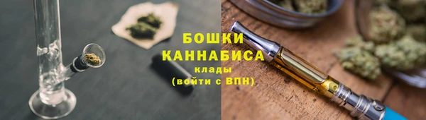 ешки Вяземский