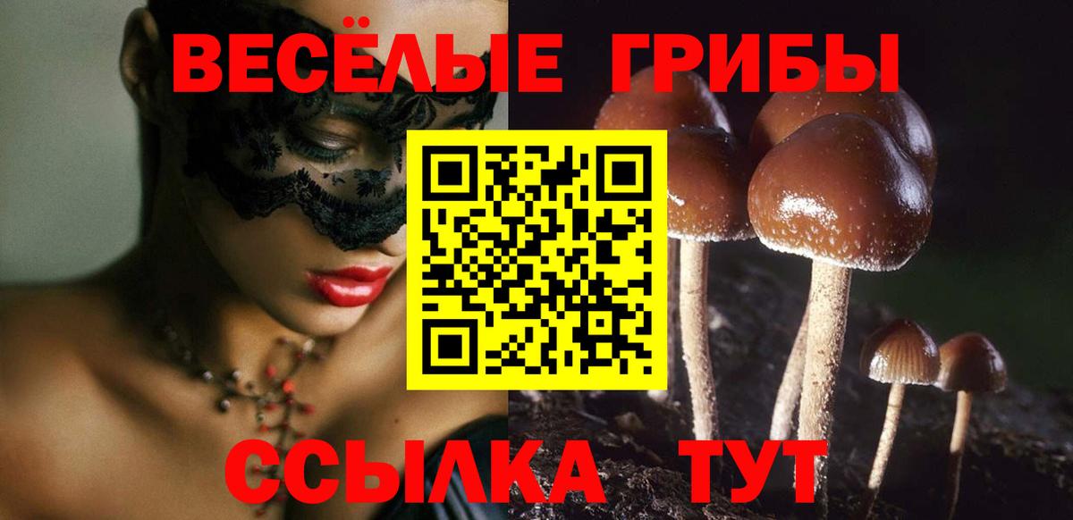 Галлюциногенные грибы Magic Shrooms Комсомольск-на-Амуре