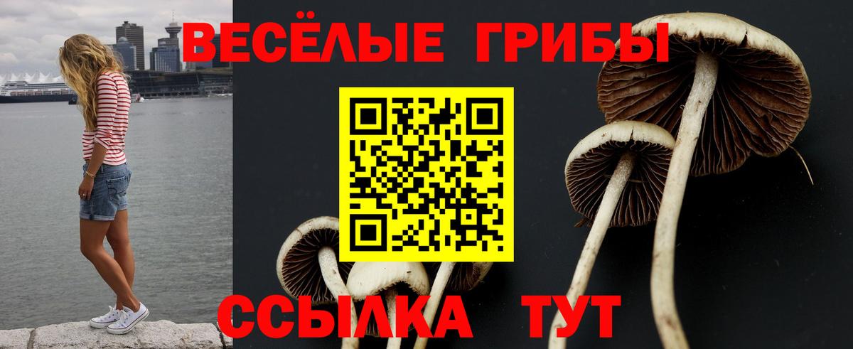 Комсомольск-на-Амуре  Галлюциногенные грибы MAGIC MUSHROOMS  Вход с VPN 
